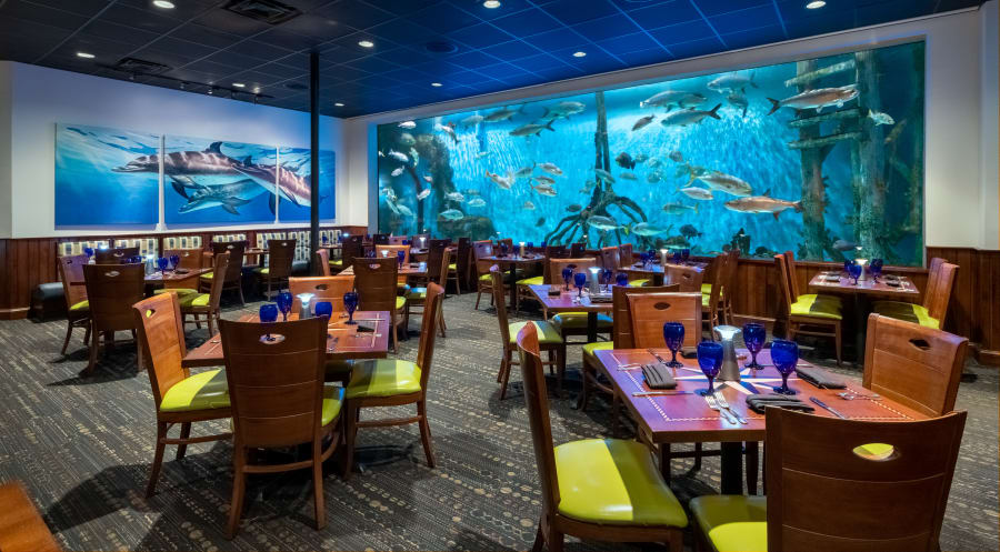 RumFish Grill – photo 1